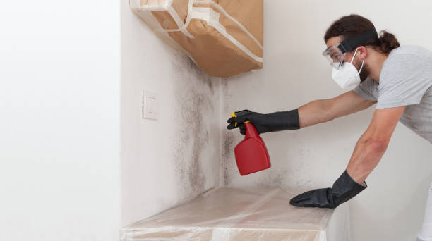 Professional Crawl Space Mold Remediation technician working in Wallington, NJ