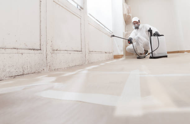 24/7 Emergency Crawl Space Mold Remediation experts in Wallington, NJ
