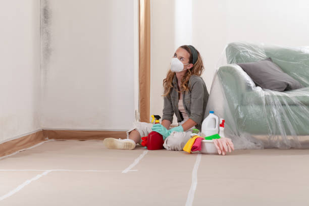 Reliable Crawl Space Mold Remediation contractor in Wallington, NJ by Mold Remediation HQ