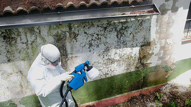 Top rated local Crawl Space Mold Remediation specialists in Wallington, NJ
